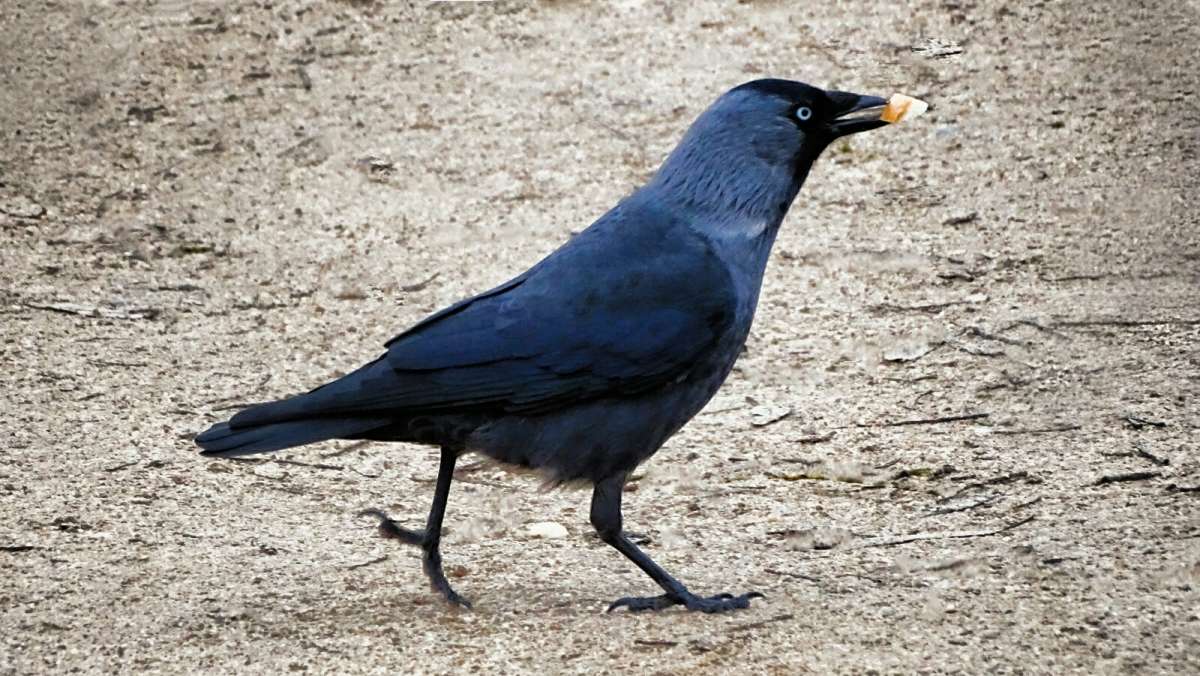 ������� �����. ����� �������� �������� �� PhotoGeek.ru #�������� ���