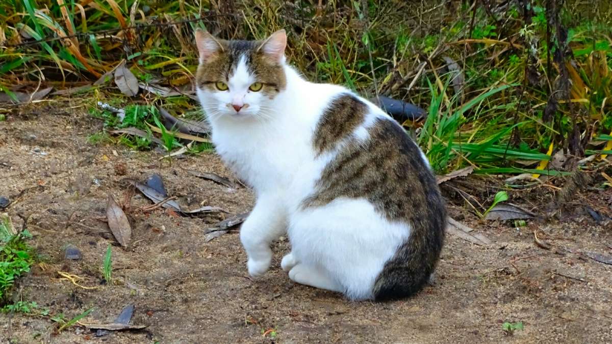 ����� ��������. ����� �������� �������� �� PhotoGeek.ru #�������� ���