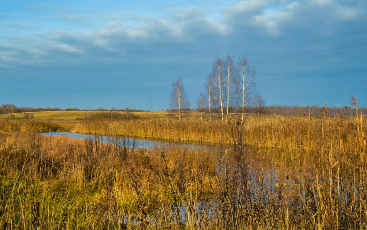 ������� � ������ ������. ����� �������� �������� �� PhotoGeek.ru #������ ��� �������