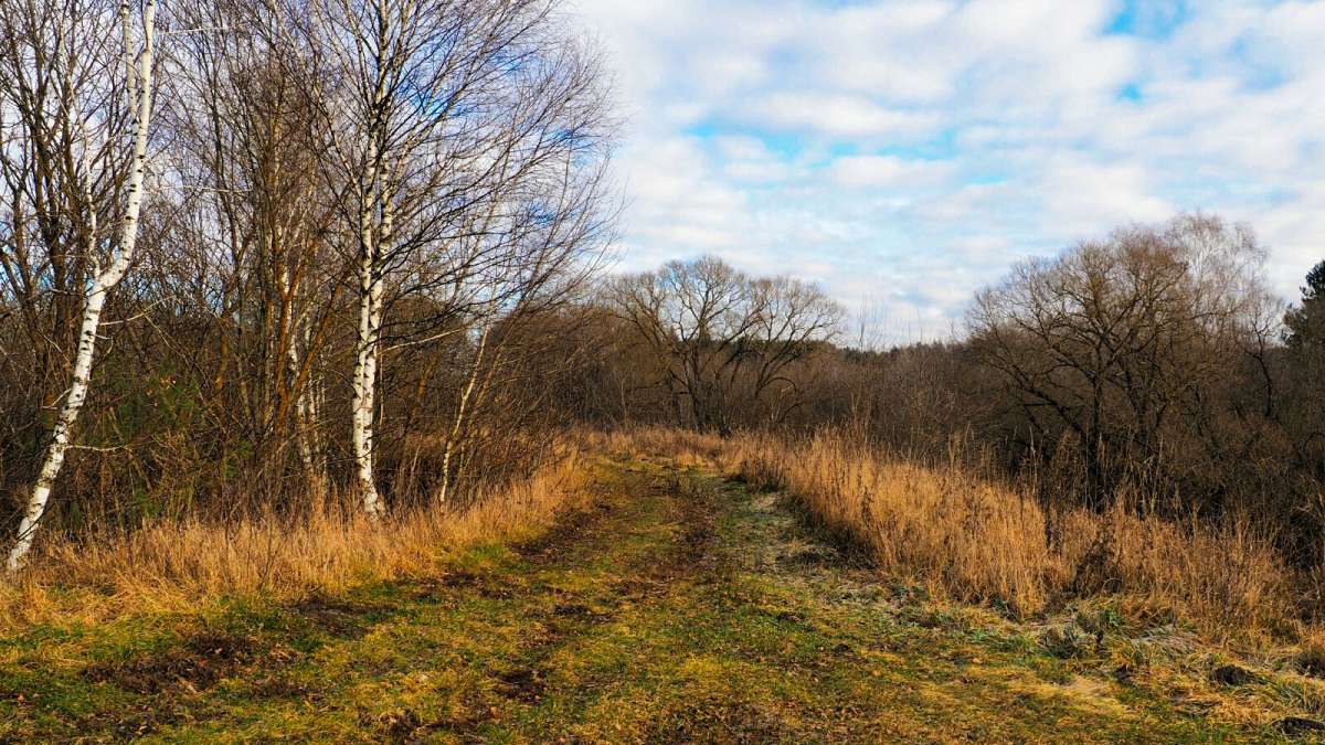 ������ ����� ������ ������. ����� �������� �������� �� PhotoGeek.ru #������ ��� �������