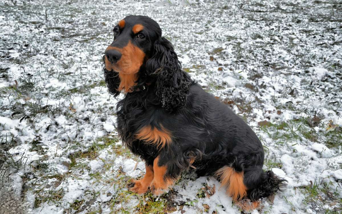 ������� �������� ������ � ��������. ����� �������� �������� �� PhotoGeek.ru #����� #�������� ���