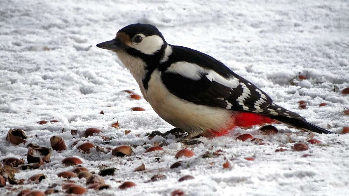 ������� ������ ����� ������ . ����� �������� �������� �� PhotoGeek.ru #����� #�������� ���