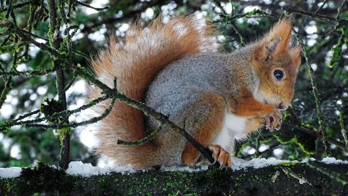 ����� ������ ����� � �� ���������� ������. ����� �������� �������� �� PhotoGeek.ru #����� #�������� ���