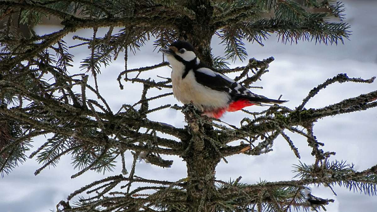 ��������� ������� ����. ����� �������� �������� �� PhotoGeek.ru #�������� ���