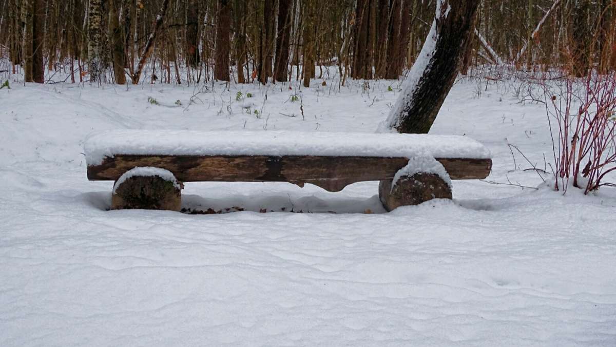 ползание по медвежьи по скамейке