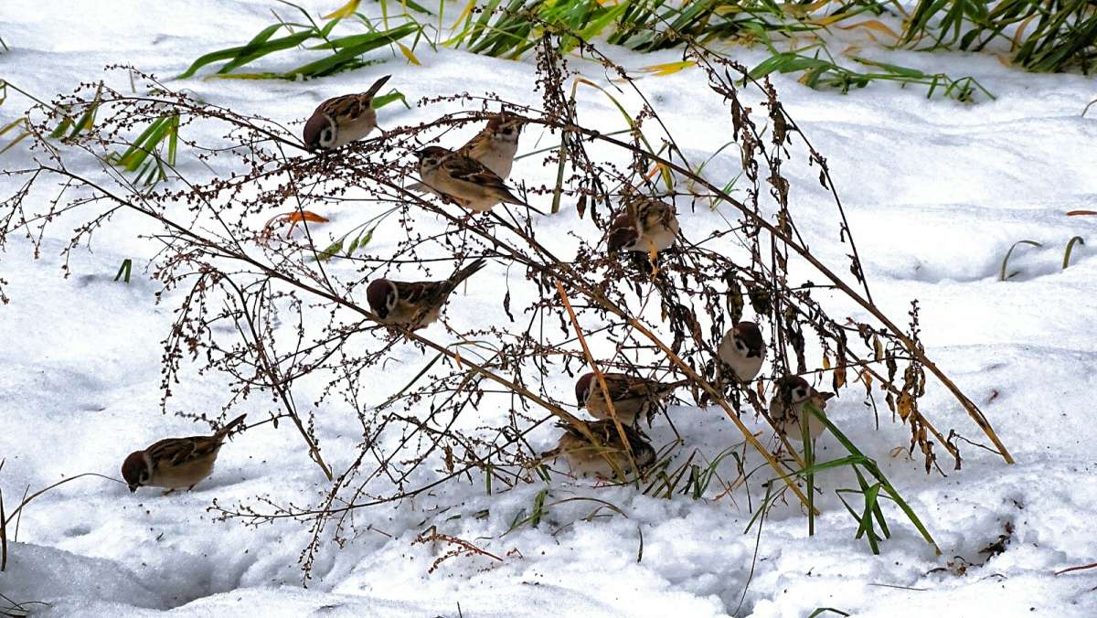 ������ ������� ������! ����� �������� �������� �� PhotoGeek.ru #�������� ���