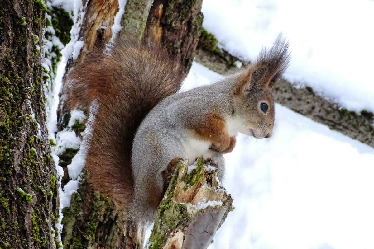 ����� ���������� �����. ����� �������� �������� �� PhotoGeek.ru #����� #�������� ���