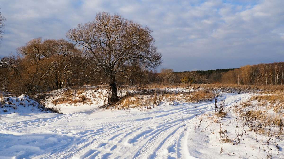 ������ ����� �������� �������� �� PhotoGeek.ru #������ ��� �������