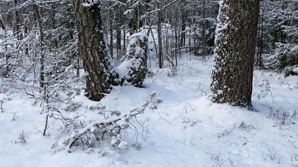 � ������� ���� � ���������. ����� �������� �������� �� PhotoGeek.ru #������ ��� �������