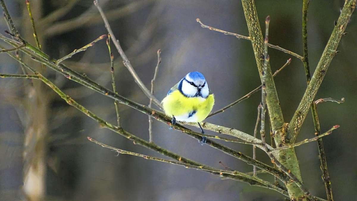 ������������ ��������� ����� �������� �������� �� PhotoGeek.ru #�������� ���