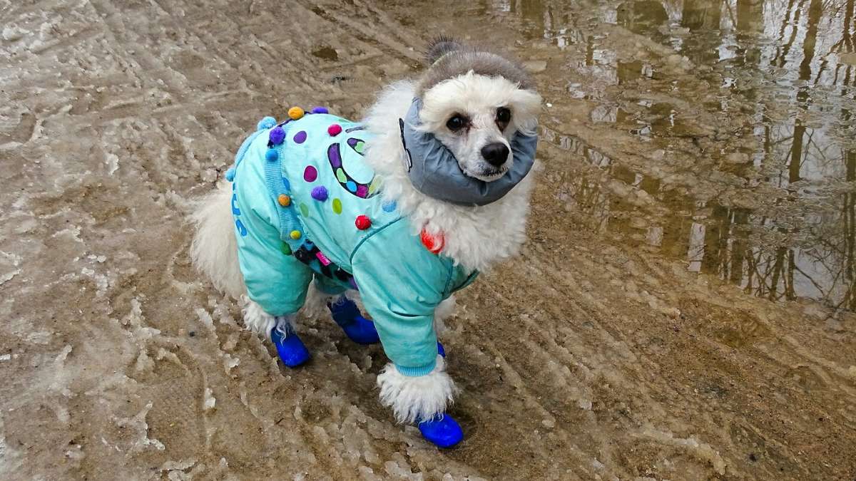 "�������", ������ �� ������. ����� �������� �������� �� PhotoGeek.ru #����� #�������� ���