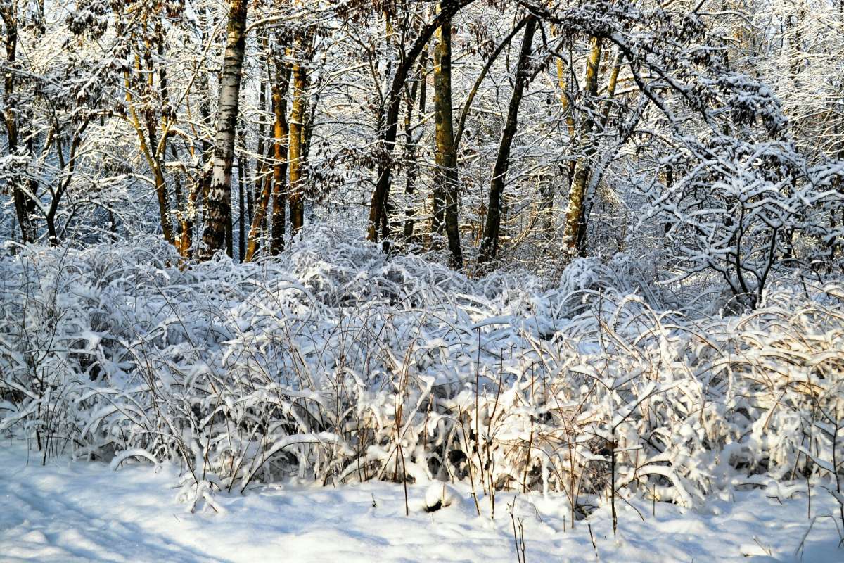 ����� �����. ����� �������� �������� �� PhotoGeek.ru #����� #������ ��� �������