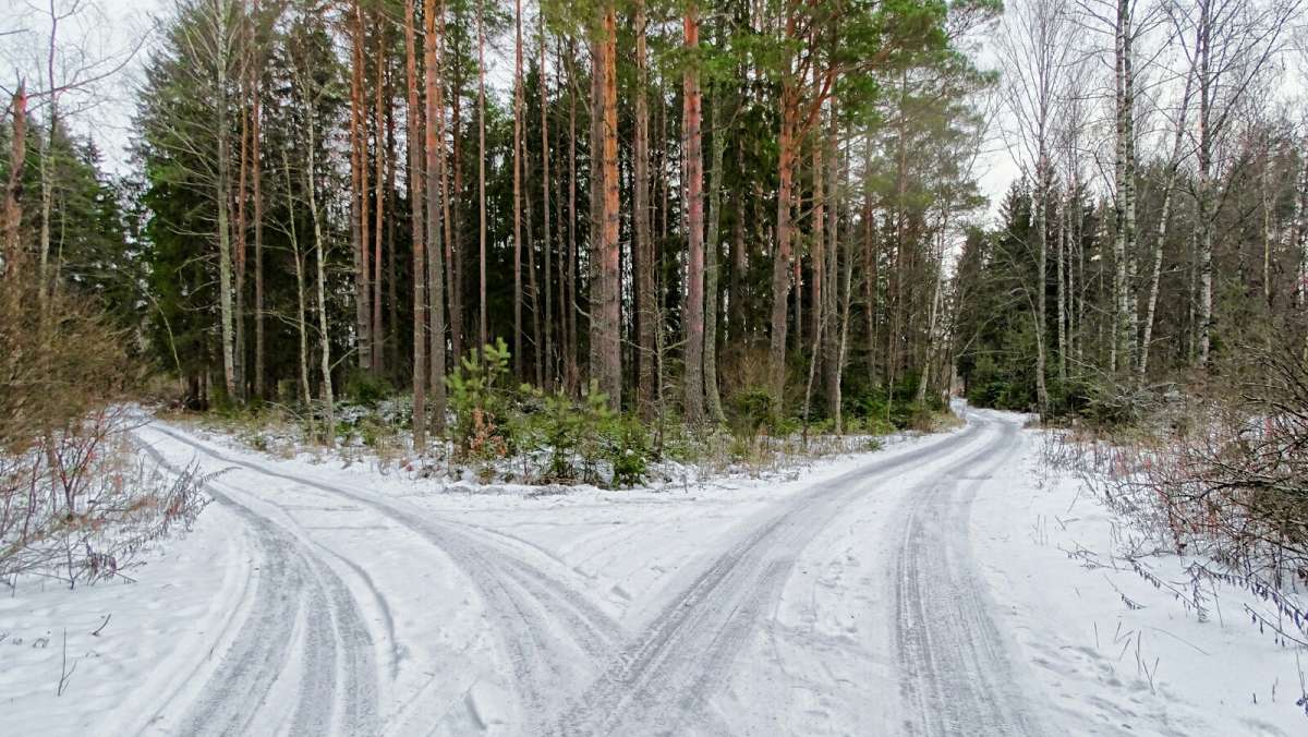 На развилке дорог. / На развилке дорог. / Фотография на PhotoGeek.ru