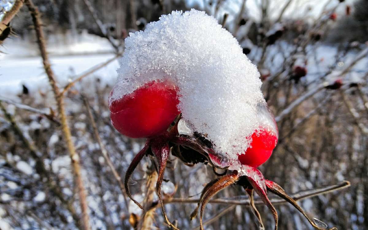 �������� ����. ����� �������� �������� �� PhotoGeek.ru #�����