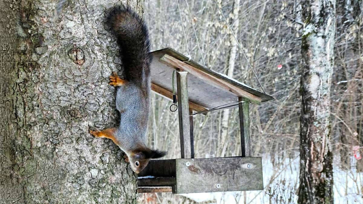 ����� ���������, ��� ���� � ��������. ����� �������� �������� �� PhotoGeek.ru #����� #�������� ���