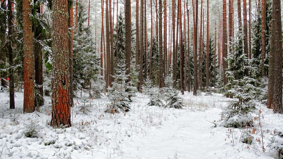 ���� ����. ����� �������� �������� �� PhotoGeek.ru #������ ��� �������