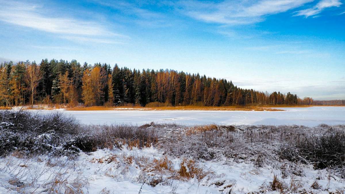 ���� - �������. ����� �������� �������� �� PhotoGeek.ru #������ ��� �������
