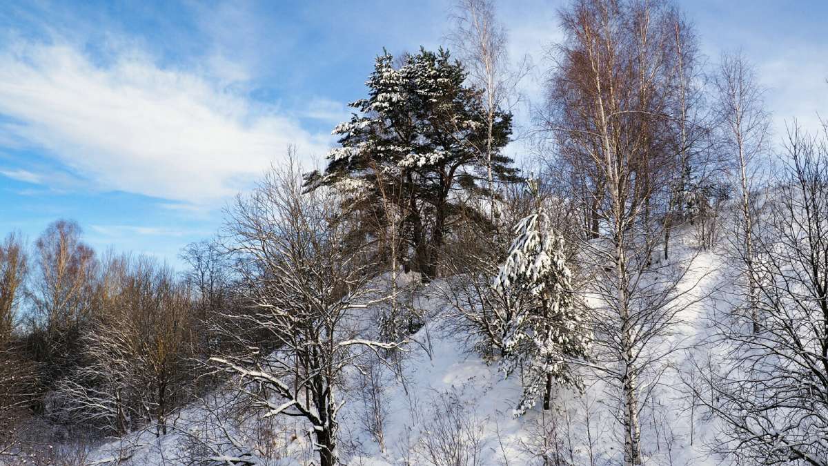 ����� �� �����. ����� �������� �������� �� PhotoGeek.ru #������ ��� �������