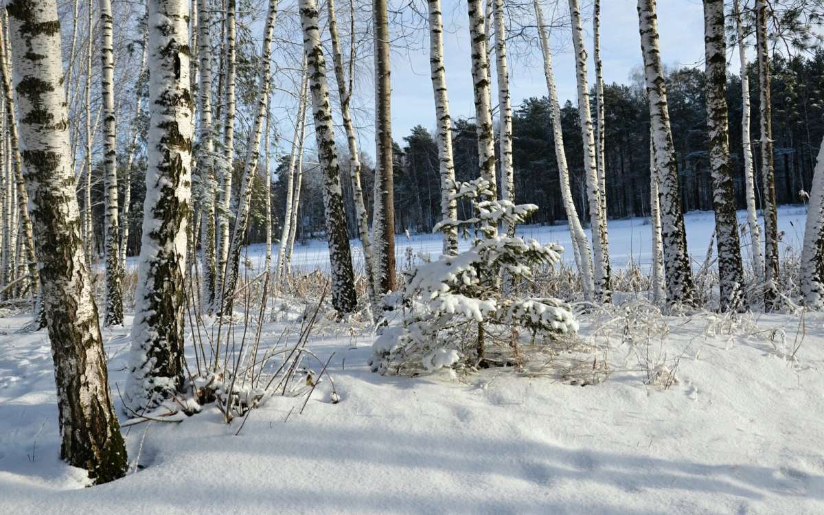 ������� ������ ������ ������. ����� �������� �������� �� PhotoGeek.ru #������ ��� �������