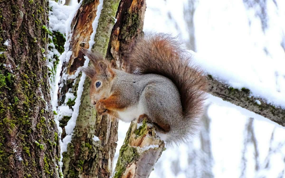 ����� ��������. ����� �������� �������� �� PhotoGeek.ru #����� #�������� ���