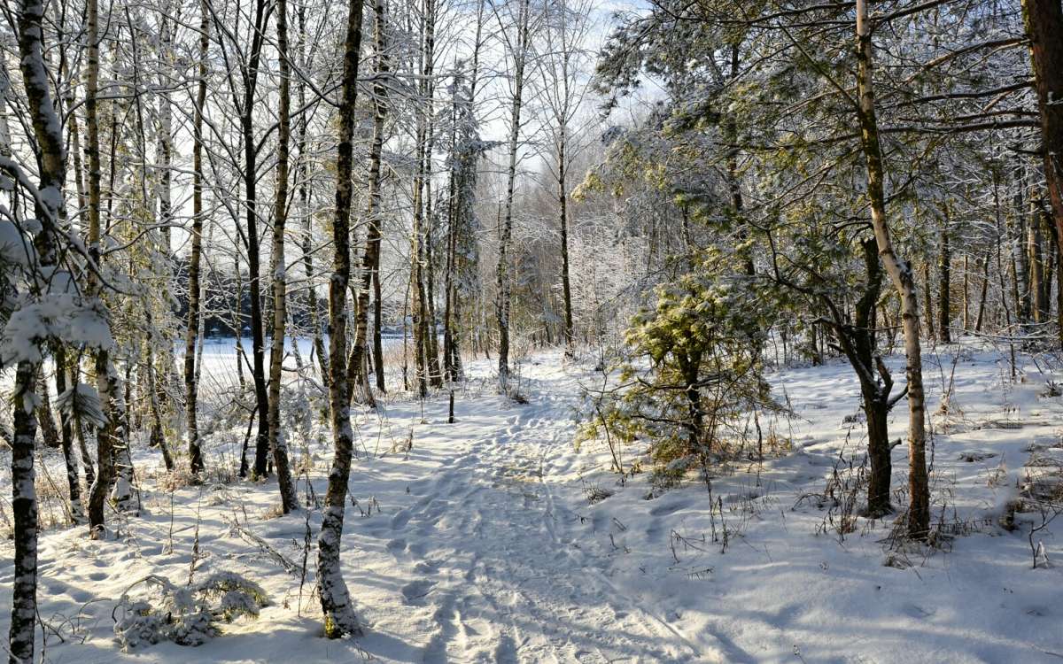 ����� �������� � �������� ����. ����� �������� �������� �� PhotoGeek.ru #������ ��� �������