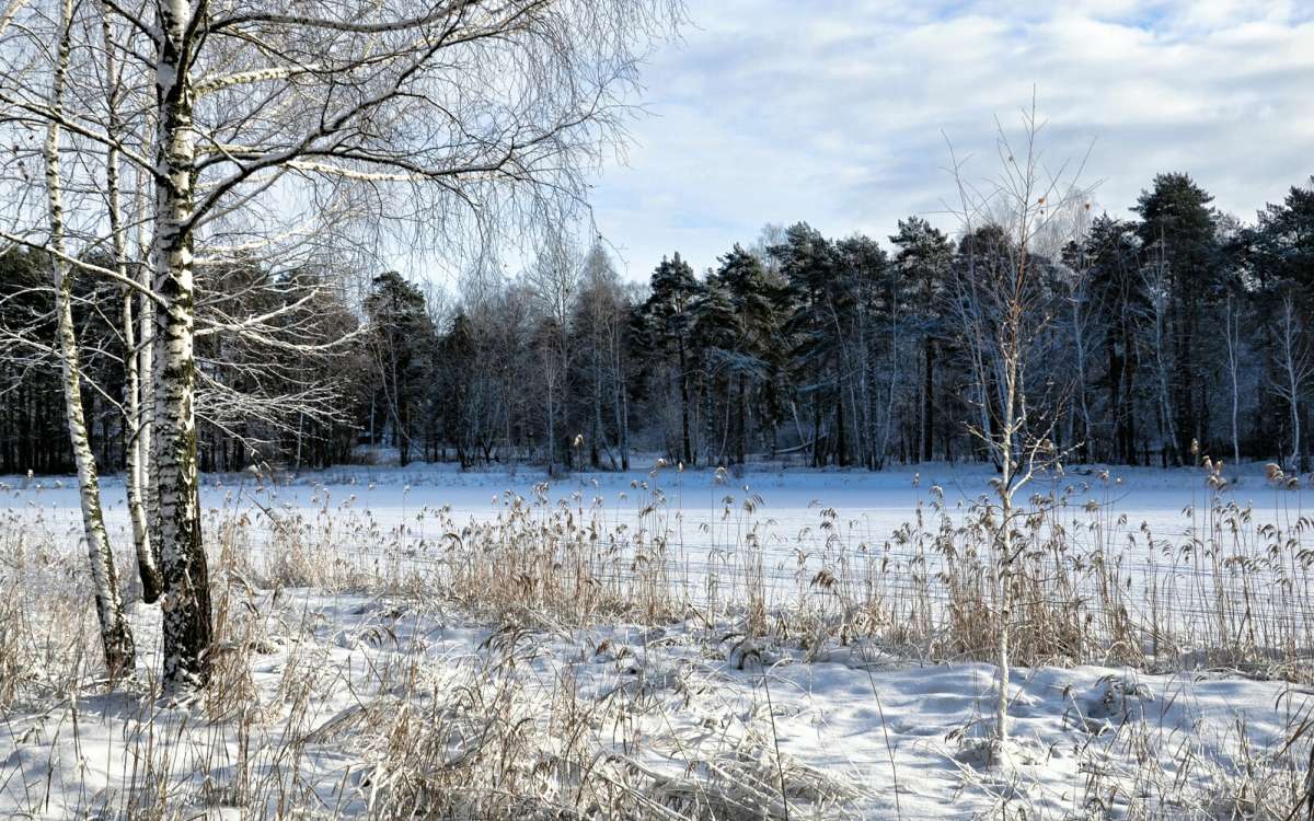 ���������� ����. ����� �������� �������� �� PhotoGeek.ru #������ ��� �������