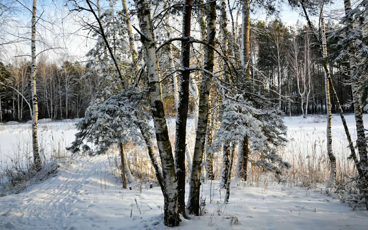 ������ �������. ����� �������� �������� �� PhotoGeek.ru #������ ��� �������