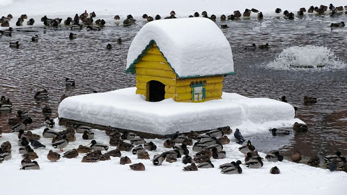 ���� ���������� ����. ����� �������� �������� �� PhotoGeek.ru #����� #�������� ���