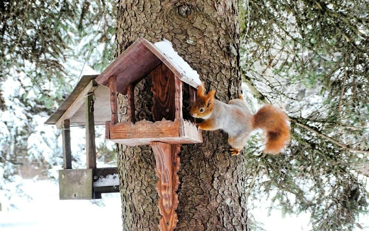 ����� ����������� ��� ��������. ����� �������� �������� �� PhotoGeek.ru #����� #�������� ���