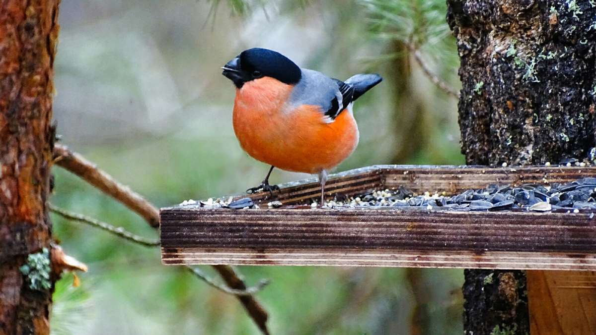 �� ����� ��������. ����� �������� �������� �� PhotoGeek.ru #�������� ���