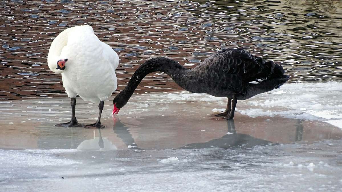 ������ ���������� ����. ����� �������� �������� �� PhotoGeek.ru #����� #�������� ���