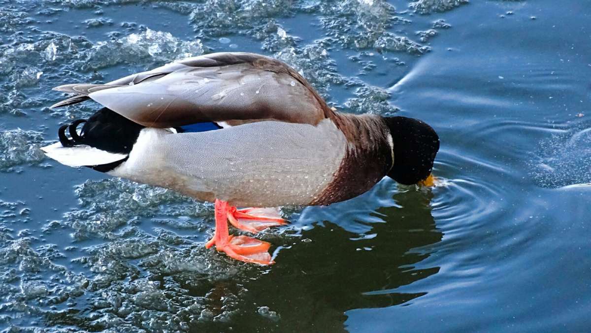 �������, � ���� �������. ����� �������� �������� �� PhotoGeek.ru #����� #�������� ���