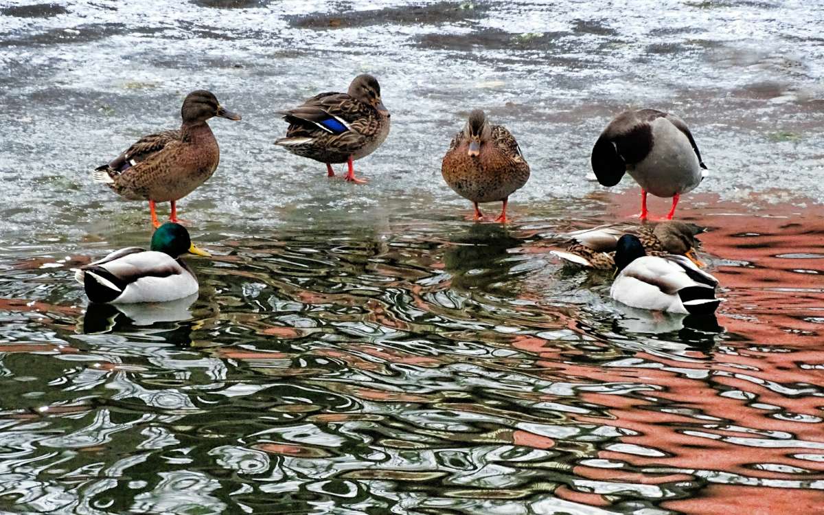 �� ������� ��������, ����� ���������. ����� �������� �������� �� PhotoGeek.ru #����� #�������� ���