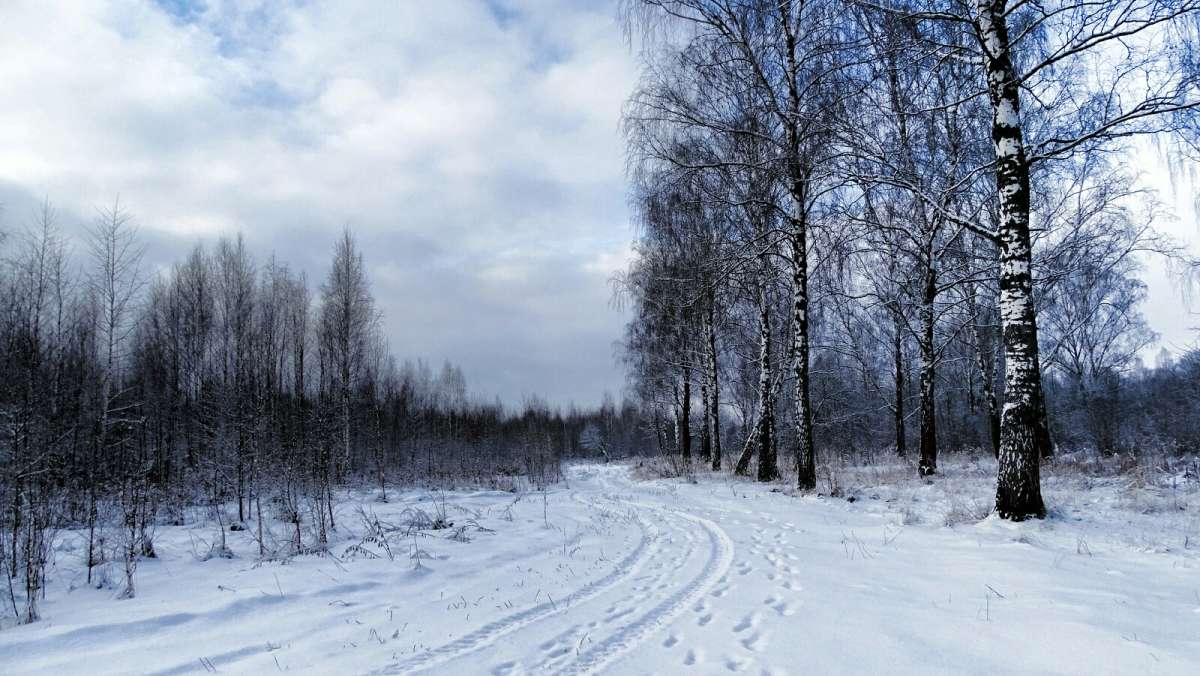 ���� - �������. ����� �������� �������� �� PhotoGeek.ru #������ ��� �������