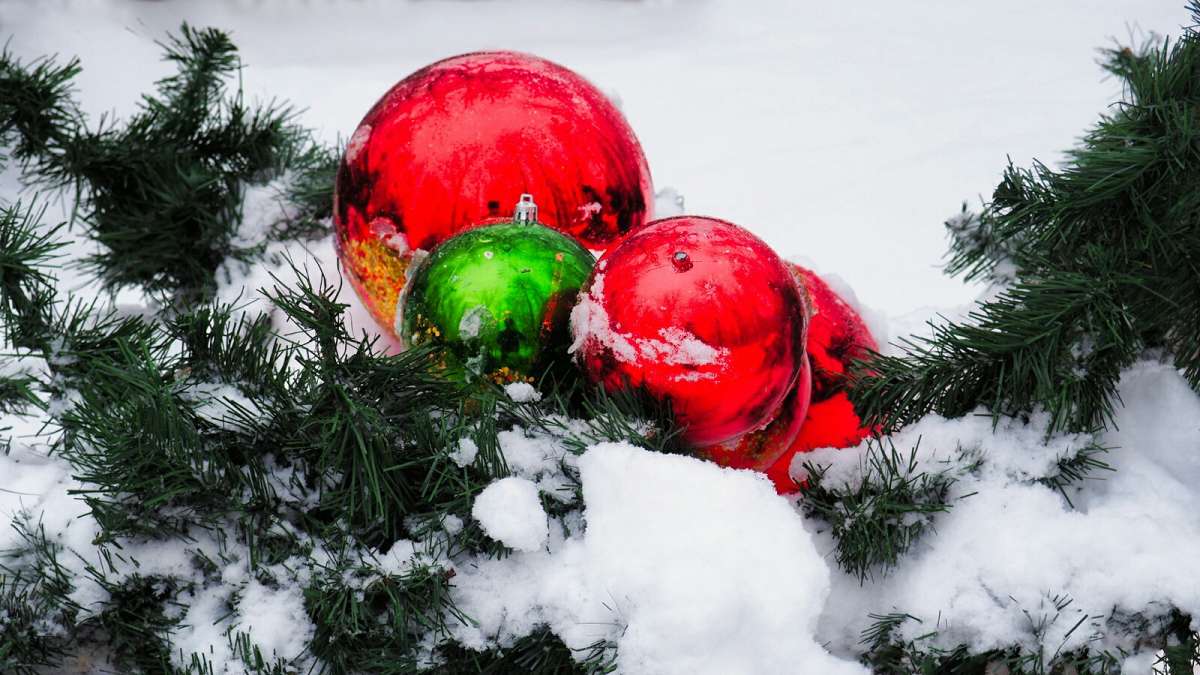 ������� ������ ����. ����� �������� �������� �� PhotoGeek.ru #����� #�����