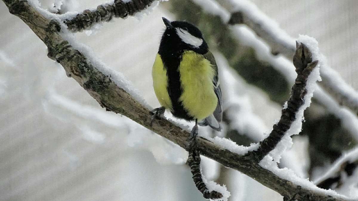 ������� ������. ����� �������� �������� �� PhotoGeek.ru #����� #�������� ���