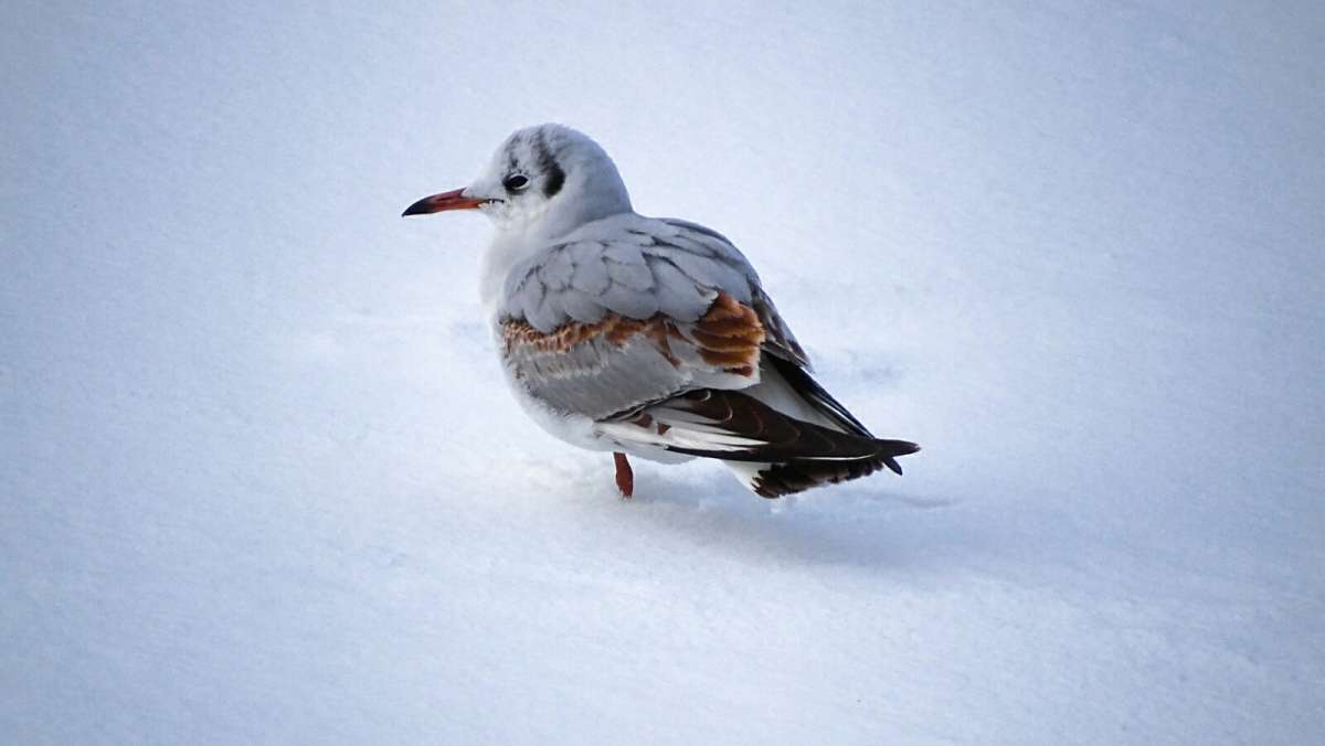 ������� �������� � �����. ����� �������� �������� �� PhotoGeek.ru #����� #�������� ���