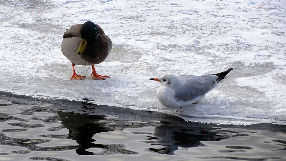 ���������, ��� �� ���� ������! ����� �������� �������� �� PhotoGeek.ru #����� #�������� ���