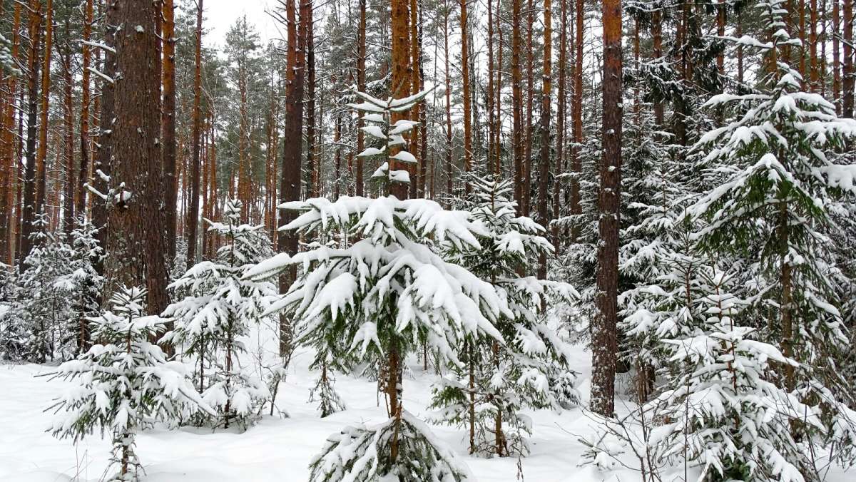 �������� ��� � ������. ����� �������� �������� �� PhotoGeek.ru #������ ��� �������
