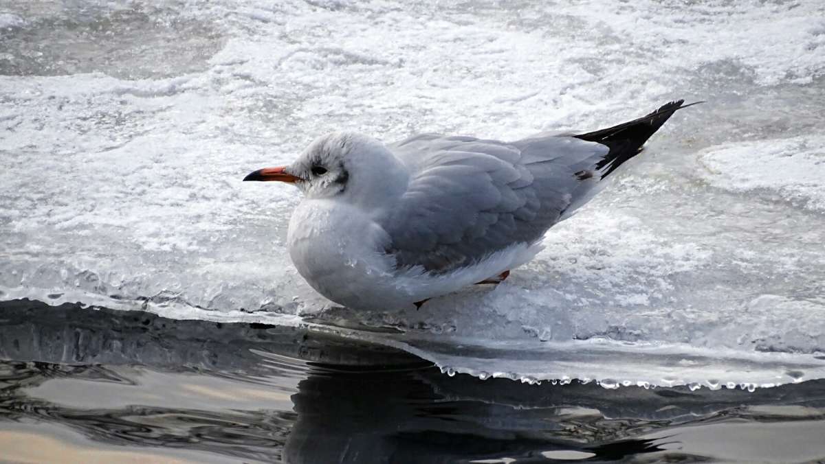 � ������ ����. ����� �������� �������� �� PhotoGeek.ru #����� #�������� ���