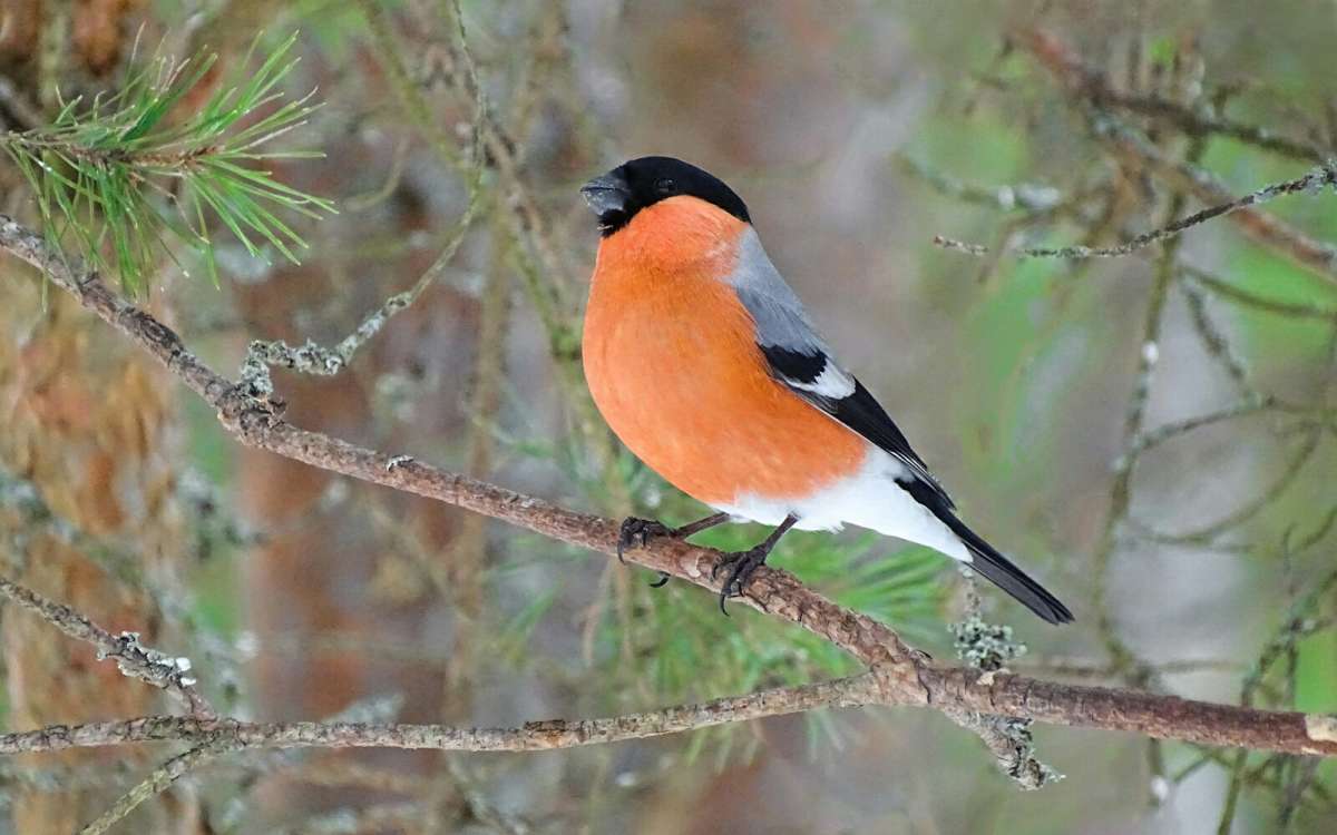 ��������! ����� �������� �������� �� PhotoGeek.ru #�������� ���