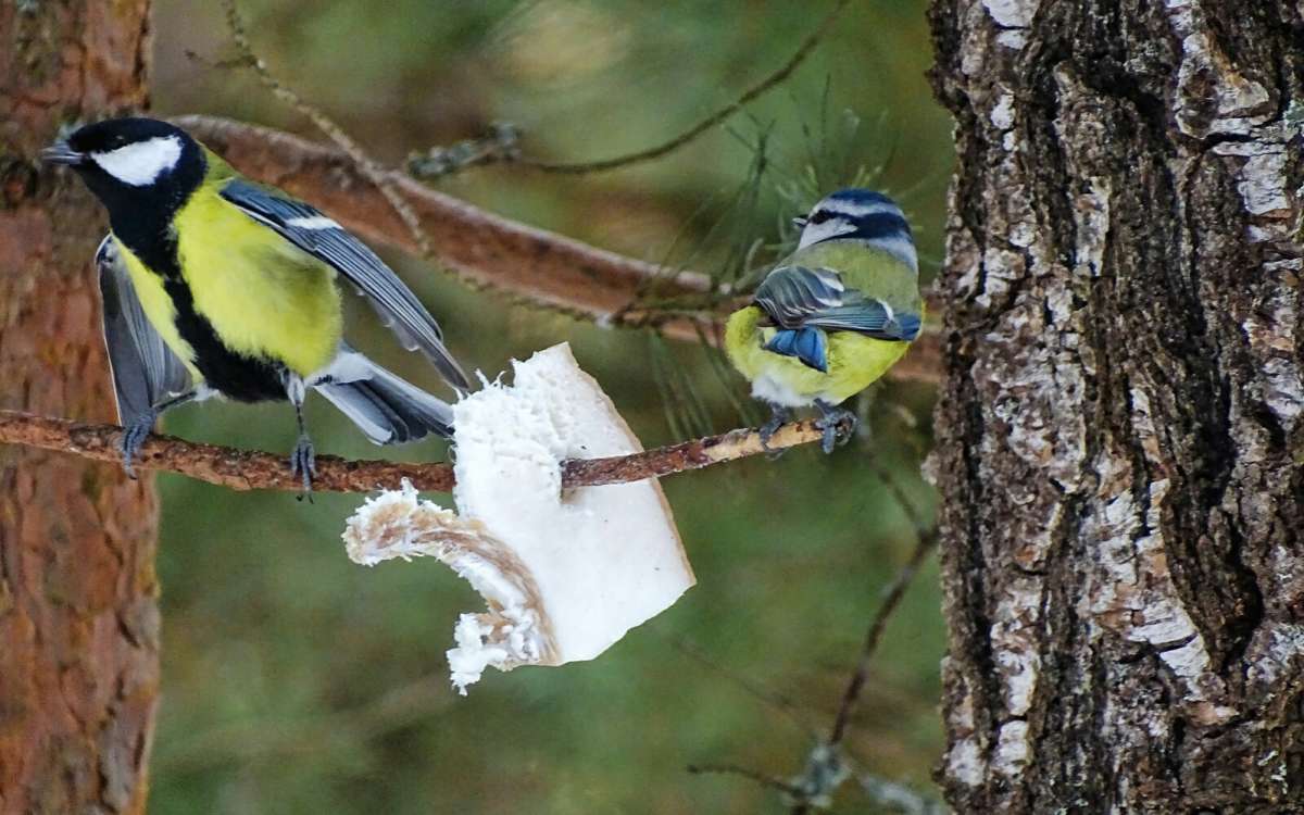 ����������� ��-�� ����. ����� �������� �������� �� PhotoGeek.ru #�������� ���