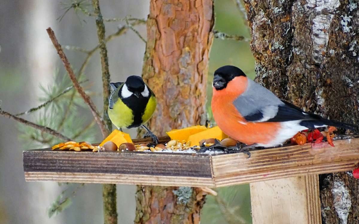 ������ "�������". ����� �������� �������� �� PhotoGeek.ru #�������� ���