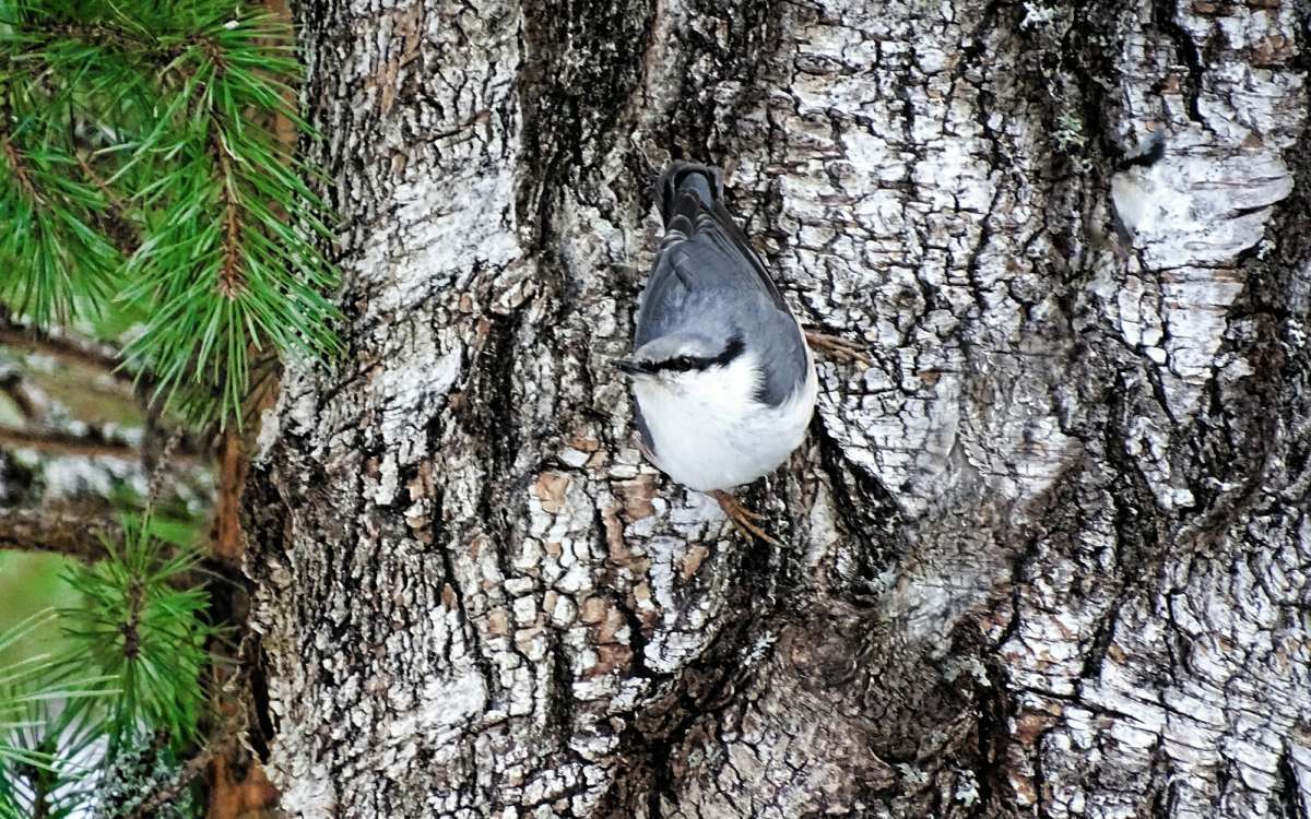 ������ ���������� - ���������. ����� �������� �������� �� PhotoGeek.ru #�������� ���