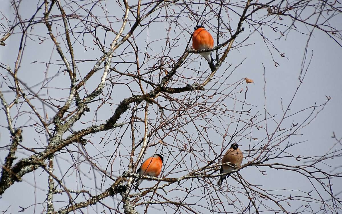 ������� ���������. ����� �������� �������� �� PhotoGeek.ru #�������� ���