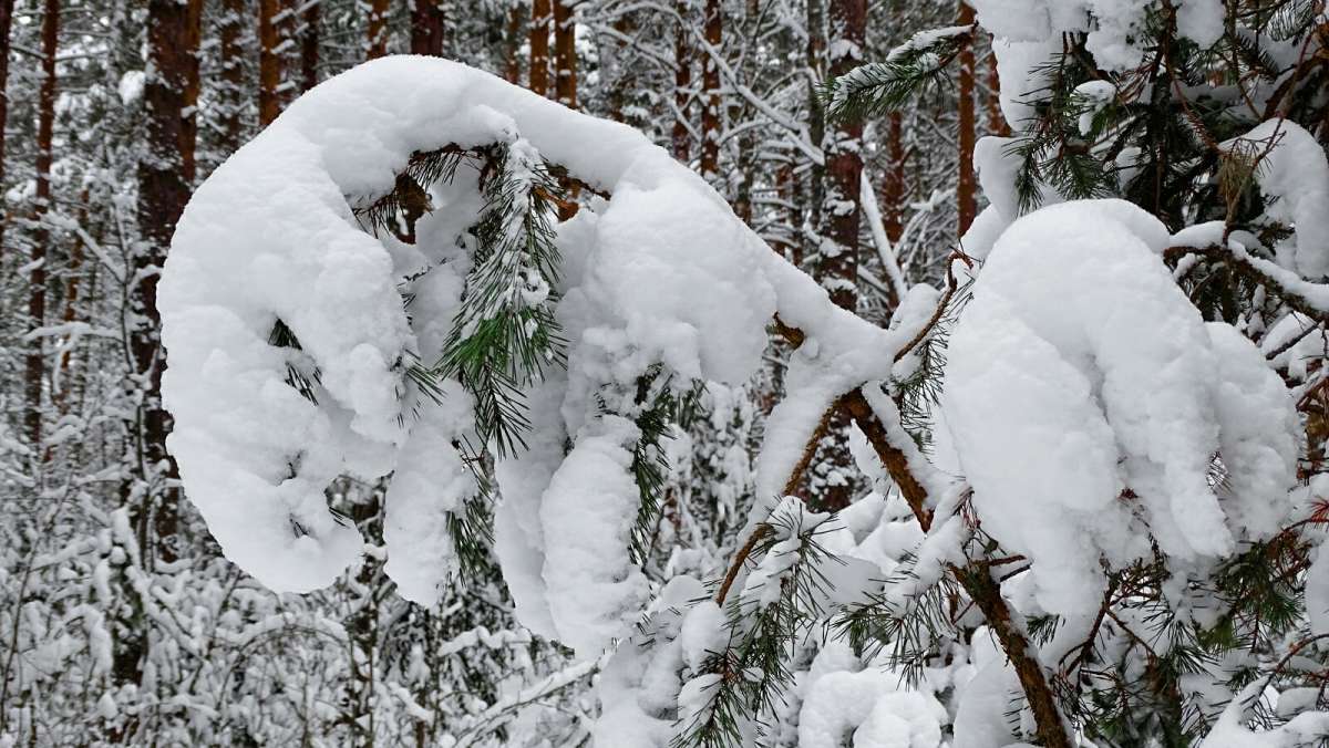 �������� ������� ����. ����� �������� �������� �� PhotoGeek.ru #����� #������ ��� �������