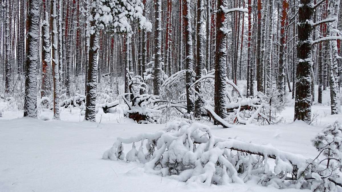 �� ��������, �� ������. ����� �������� �������� �� PhotoGeek.ru #������ ��� �������