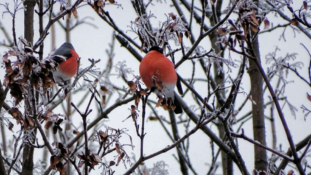 ������� �� ����������� ������ ����. ����� �������� �������� �� PhotoGeek.ru #�������� ���