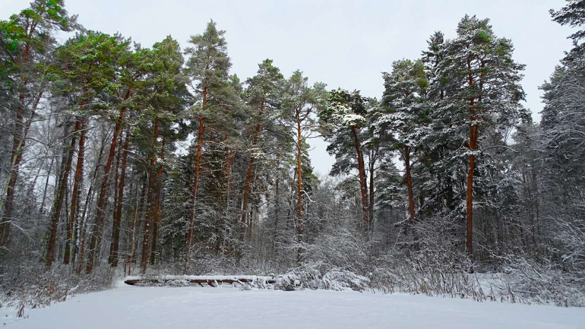 ���������� �����. ����� �������� �������� �� PhotoGeek.ru #������ ��� �������