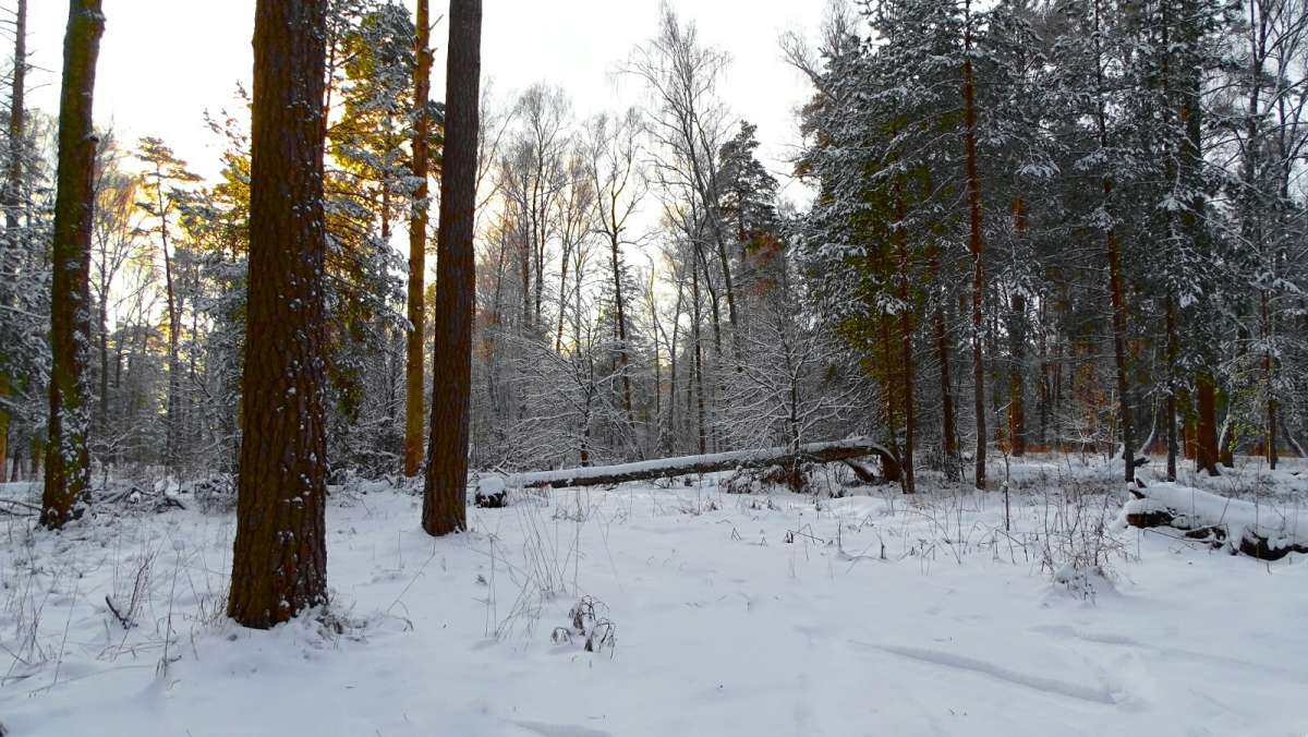 ��� ����. ����� �������� �������� �� PhotoGeek.ru #������ ��� �������